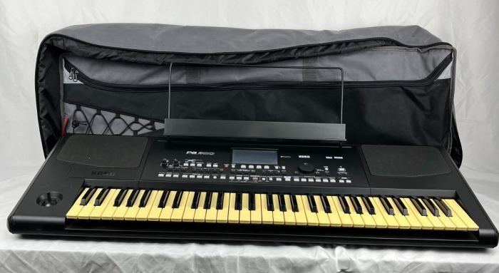 Korg PA300 Professional Arranger Workstation 61-Key Keyboard Synthesizer Black