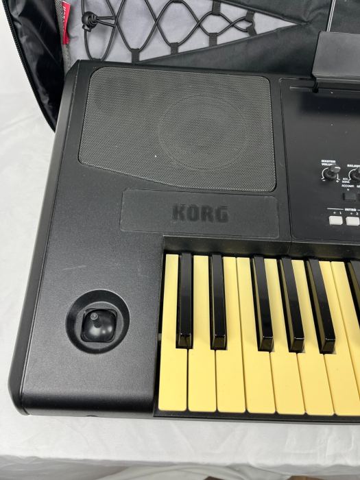 Korg PA300 Professional Arranger Workstation 61-Key Keyboard Synthesizer Black