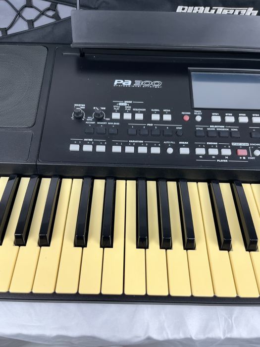 Korg PA300 Professional Arranger Workstation 61-Key Keyboard Synthesizer Black