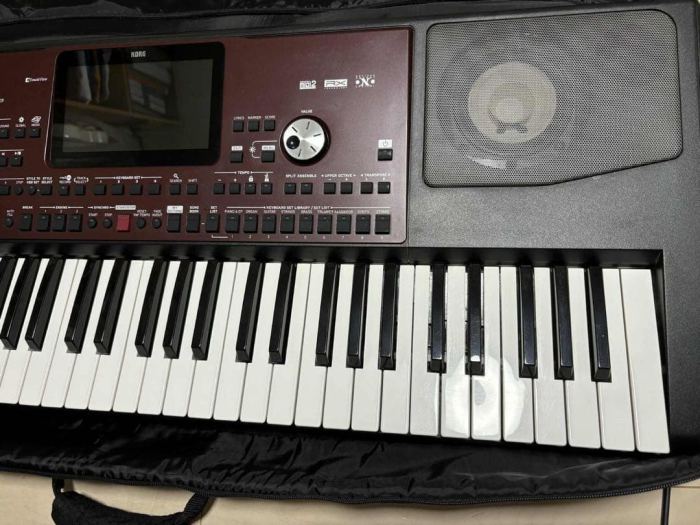 Korg Pa700 Professional Arranger Keyboard 61 Key Synthesizer Workstation Touch