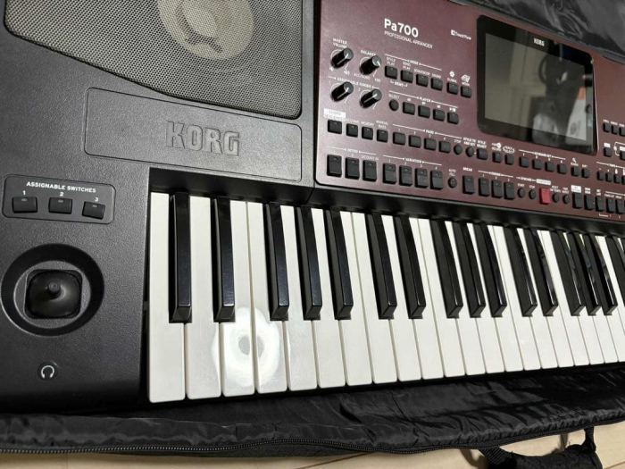 Korg Pa700 Professional Arranger Keyboard 61 Key Synthesizer Workstation Touch