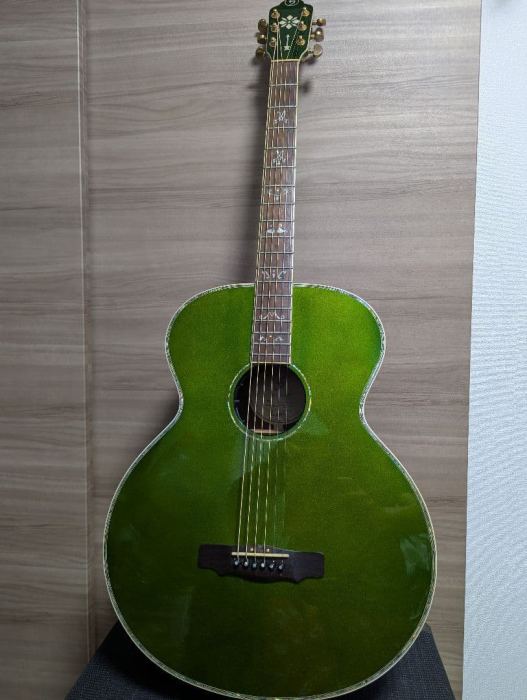 Greg Bennett Bjs-2/Cag Baritone Guitar All Veneer Safe delivery from Japan