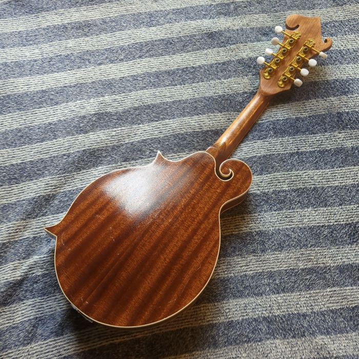Kit Built F-Style Mandolin Natural
