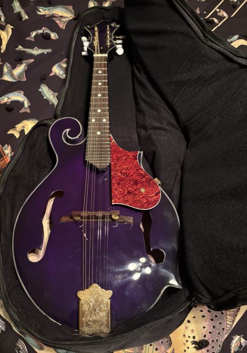Santini F-Style Mandolin Purple Gloss, 8 String with New Soft Shell Case Nice