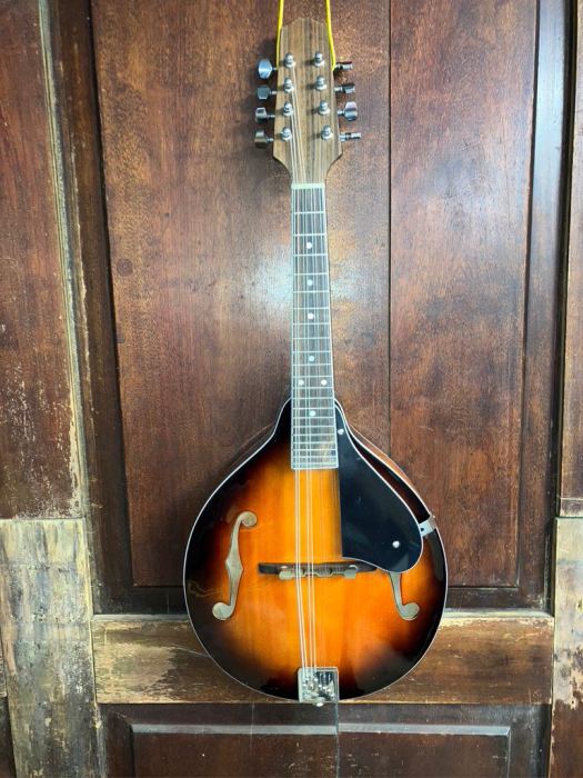 A Style All Solid Wood F Hole Student Mandolin w/Hard Shell Case