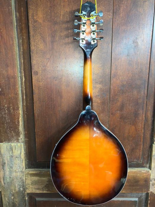 A Style All Solid Wood F Hole Student Mandolin w/Hard Shell Case