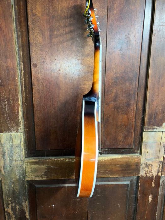 A Style All Solid Wood F Hole Student Mandolin w/Hard Shell Case