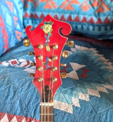 CUSTOM ACOUSTIC ELECTRIC  F STYLE MANDOLIN / PRO LUTHIER PROJECT / + CASE & SHIP
