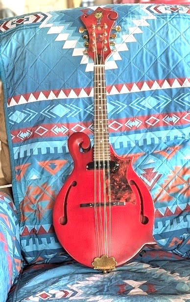 CUSTOM ACOUSTIC ELECTRIC  F STYLE MANDOLIN / PRO LUTHIER PROJECT / + CASE & SHIP