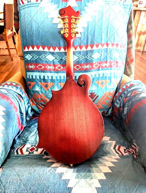 CUSTOM ACOUSTIC ELECTRIC  F STYLE MANDOLIN / PRO LUTHIER PROJECT / + CASE & SHIP