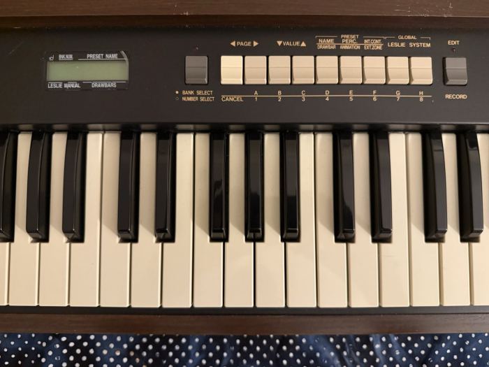 Hammond XK-2 Tone Wheel Organ And Digital Keyboard