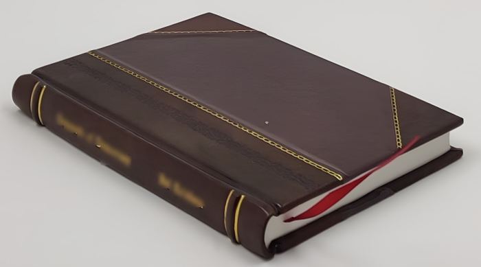 The Lyon & Healy harp. 1916 by Lyon & Healy. [Leather Crafted]