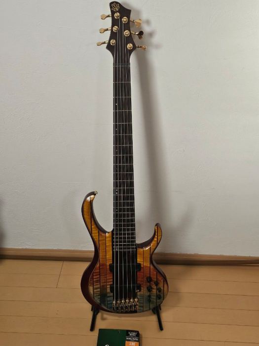 Ibanez 6-String Bass Guitar with Bonus Elixir Strings Excellent Condition