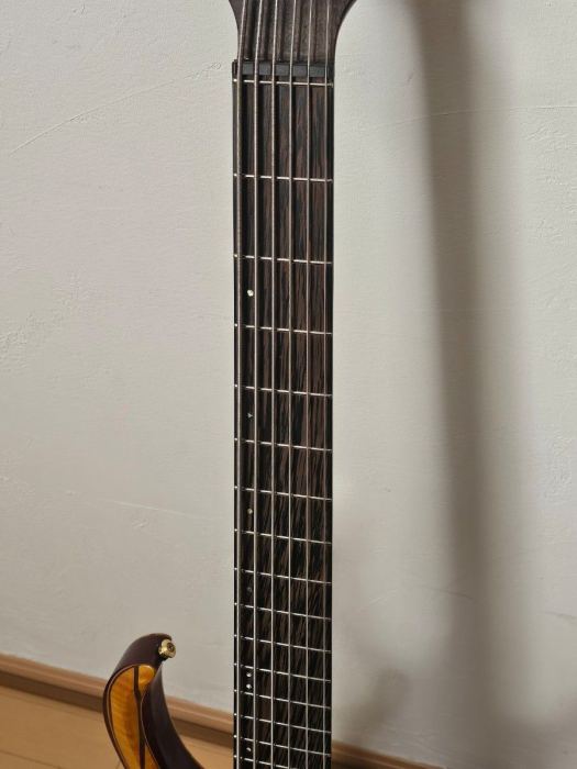 Ibanez 6-String Bass Guitar with Bonus Elixir Strings Excellent Condition