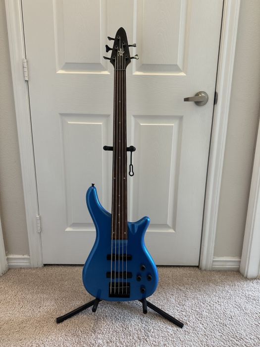 Fretless Bass: A Realistic Second Instrument, or a Different Skill Entirely?