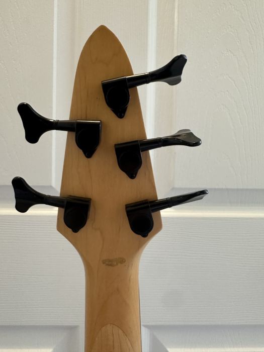 Rogue Series III 5 string bass guitar converted fretless