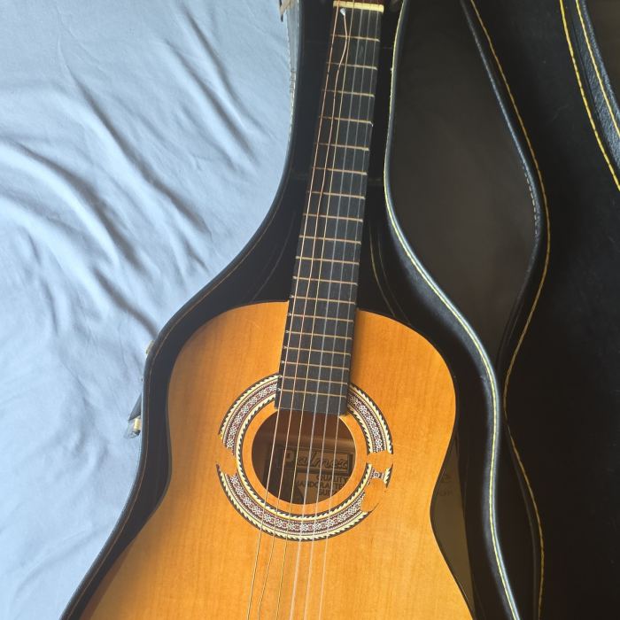 Paloma Handmade Classical Guitar 6-String Natural Right-Handed w/ Hard Case