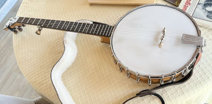 5-String Open Back Banjo Wood Satin Finish Brown w/ Hard Case & Strap hand made