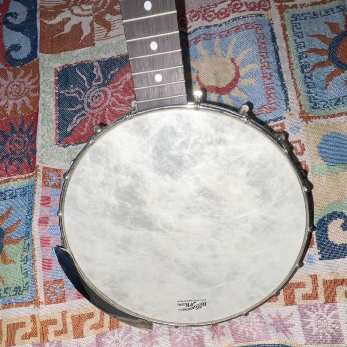 Recording King RKOH-06 5-String Open Back Banjo Satin Brown Wood