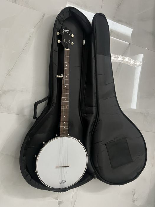 Recording King RKOH-05 5-String Open Back Banjo Satin Finish w/ Gig Bag