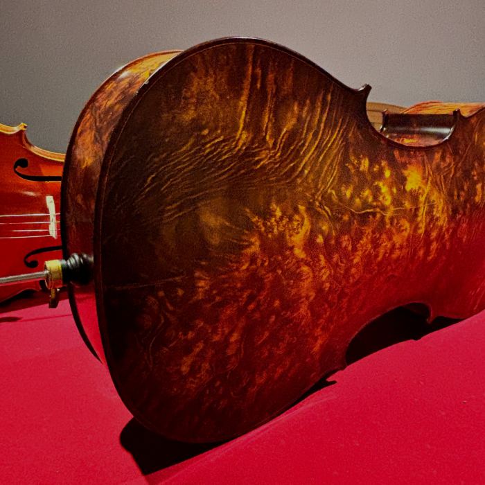 What a Step-Up Cello Actually Gives You Over a Student Instrument