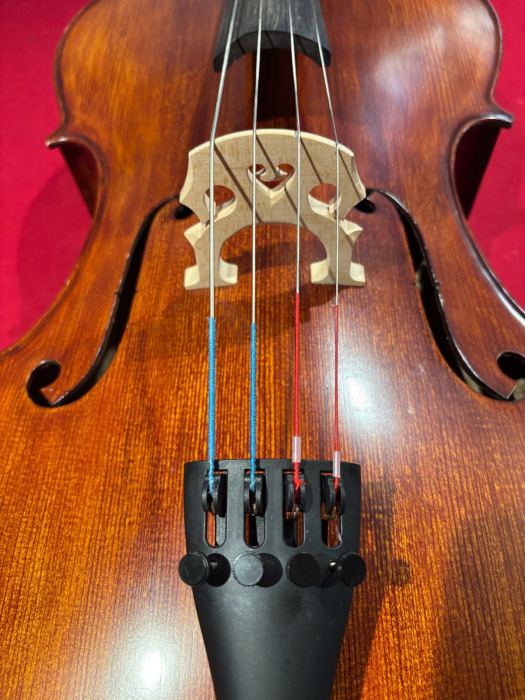 Song Professional Master Cello 4/4  Bird's eye curly maple body, spruce top