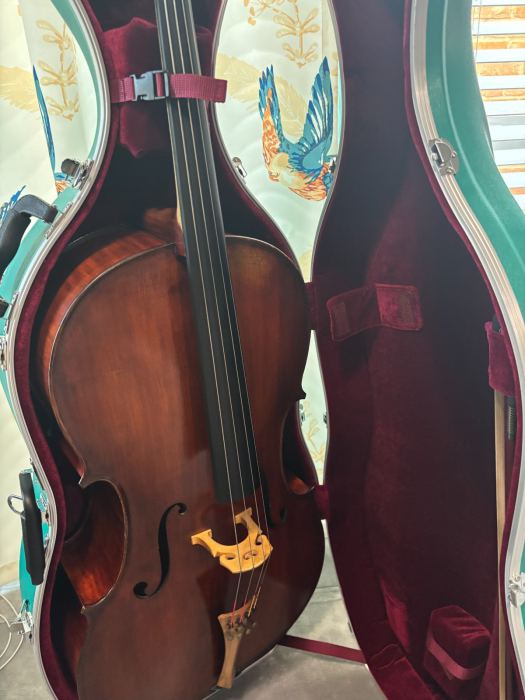Full size cello, fiberglass hard case, one wooden bow