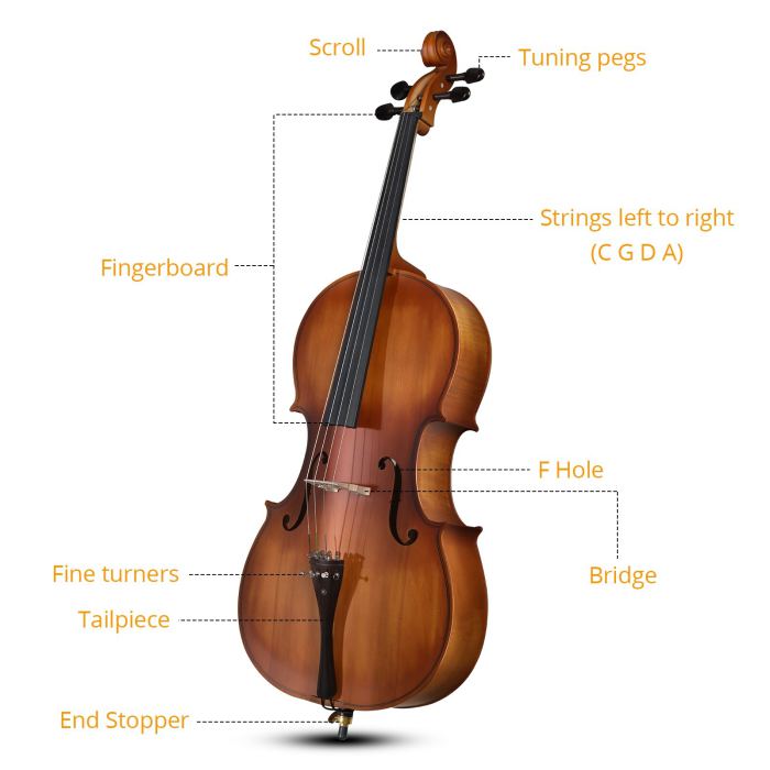 4/4 Full Size Solid Spruce Top Acoustic Cello Beginner Set - Bag Antiqued Bow