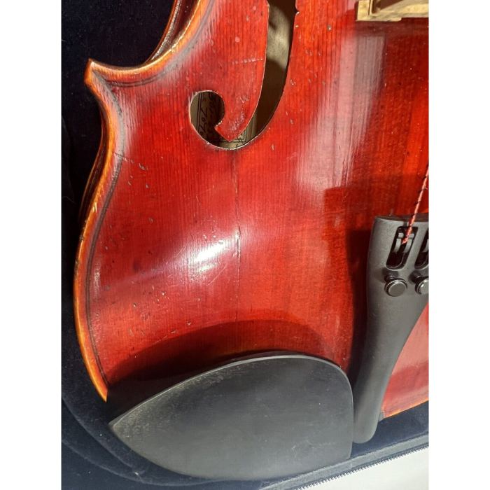 Rudoulf Doetsch Original Professional Viola Outfit - 15.5-inch
