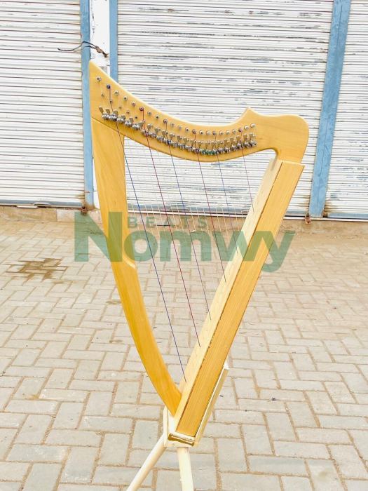 22 String Fullsicle Lightweight Celtic Lever Harp Handmade Folk Instruments