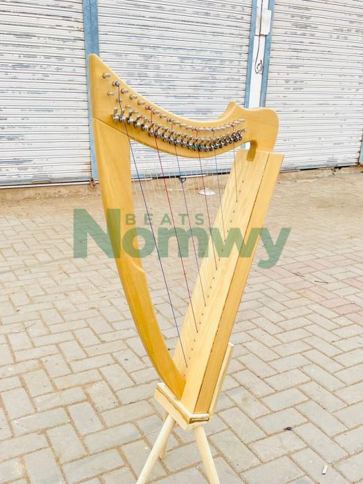 22 String Fullsicle Lightweight Celtic Lever Harp Handmade Folk Instruments