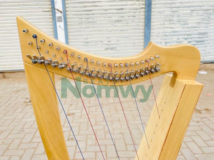 22 String Fullsicle Lightweight Celtic Lever Harp Handmade Folk Instruments