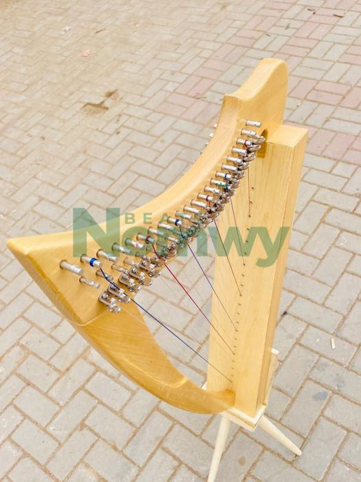 22 String Fullsicle Lightweight Celtic Lever Harp Handmade Folk Instruments