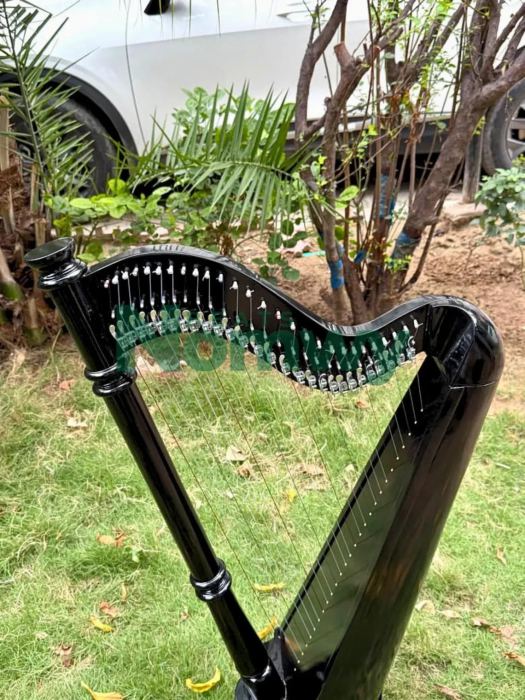 27 String Lever Harp - Black Beech Wood Celtic Folk Harp Extra Strings Key & Bag