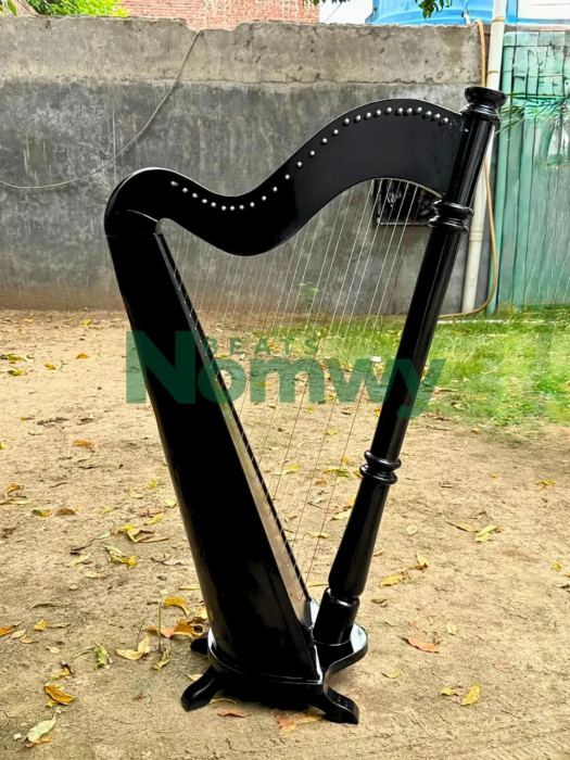 27 String Lever Harp - Black Beech Wood Celtic Folk Harp Extra Strings Key & Bag