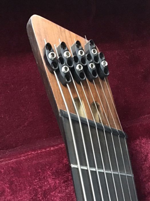 Agile Chiral Nirvana Guitar Multi Scale 8 String Fishman Pickups
