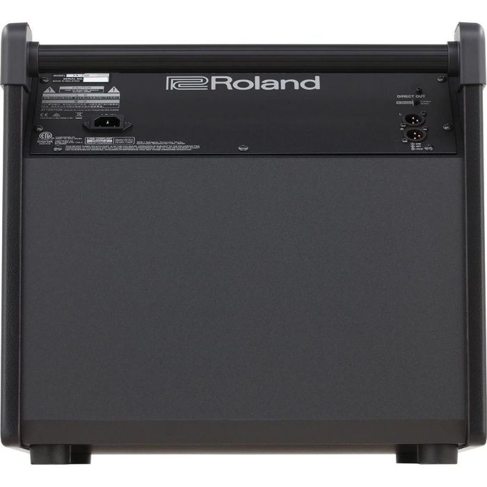 Roland PM-200 180W Personal Drum Monitor, 12" Woofer