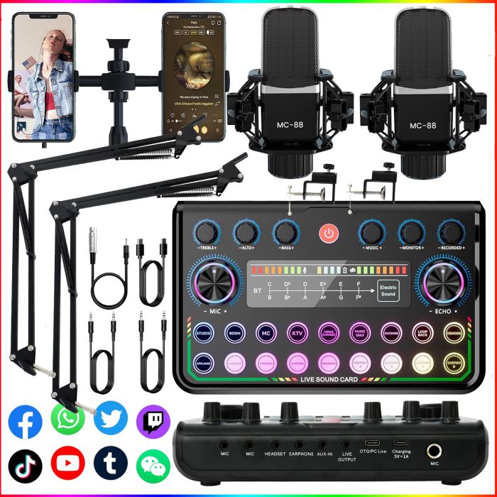 Professional Condenser Microphone Kit Complete Set For Podcast Studio Recording
