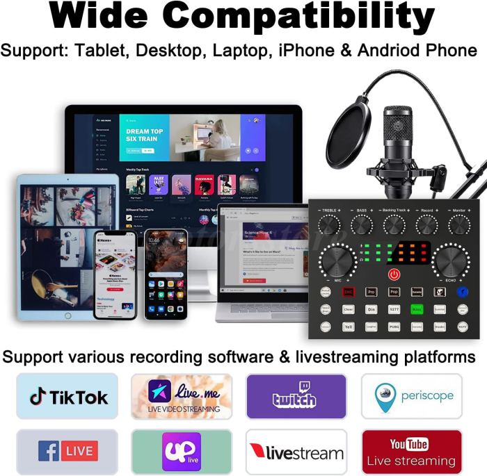 Professional Condenser Microphone Kit Complete Set For Podcast Studio Recording