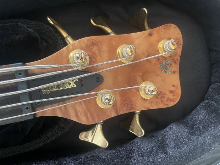 Is a 5-String Actually Necessary, or Just More Fretboard to Manage?