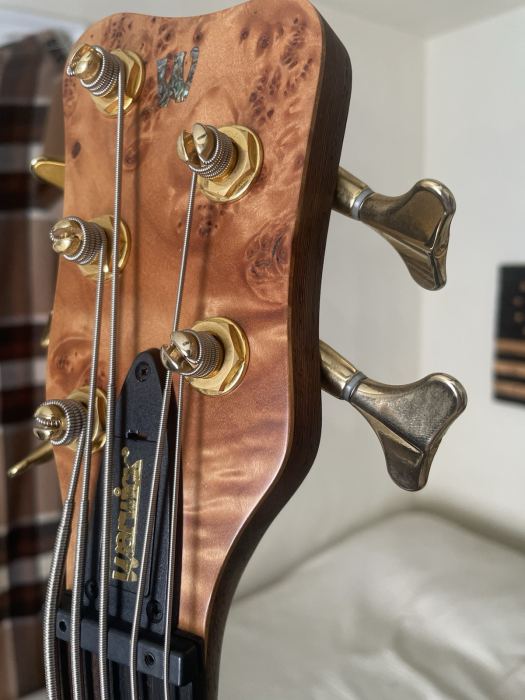 Warwick Team built Pro Series LTD Thumb 5 string bass guitar