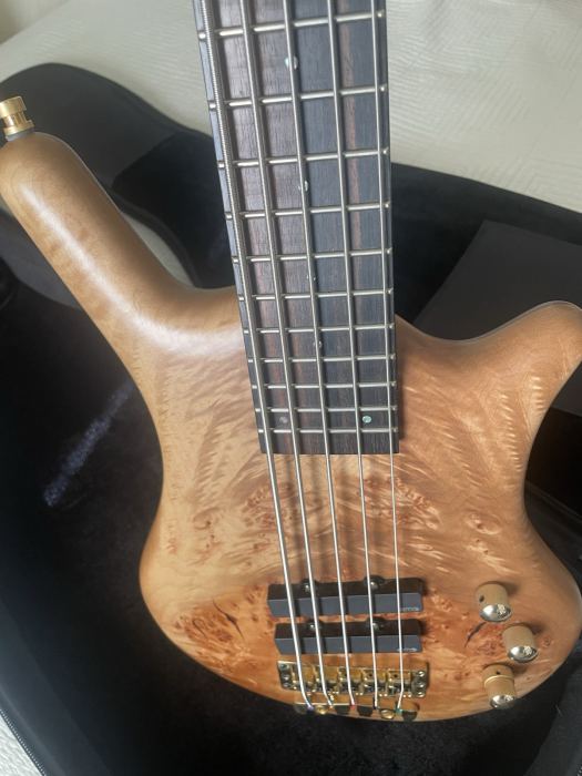 Warwick Team built Pro Series LTD Thumb 5 string bass guitar