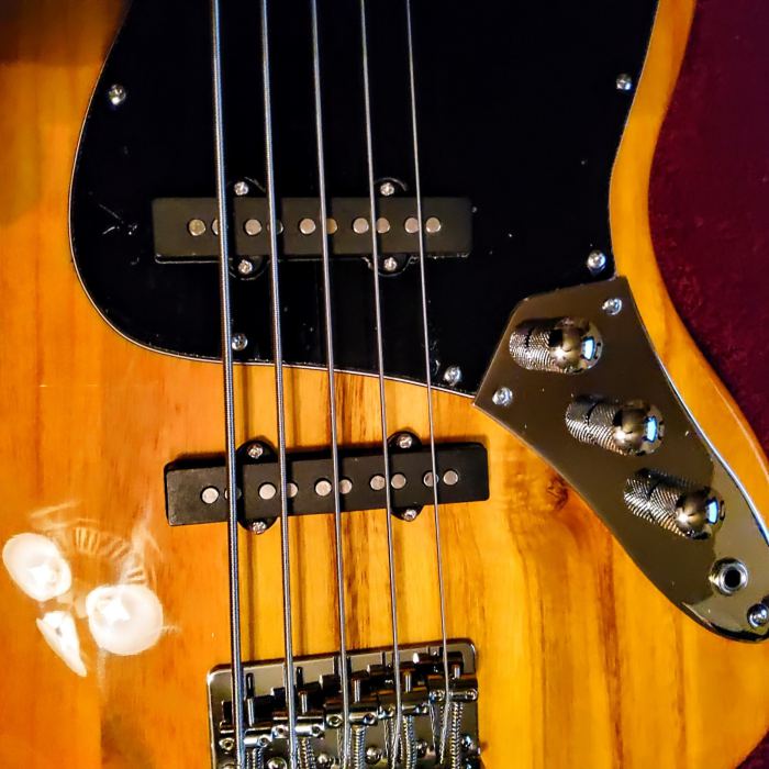🎄HOLIDAY SPECIAL!🎄5 String J Style Electric Bass Guitar +Case/Bag!