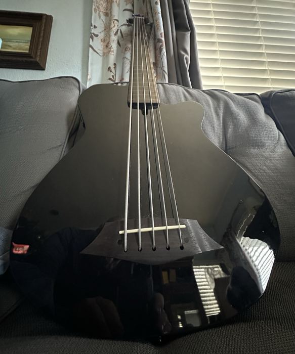 Sire Marcus Miller GB5 5-string Fretless Bass Guitar - Black