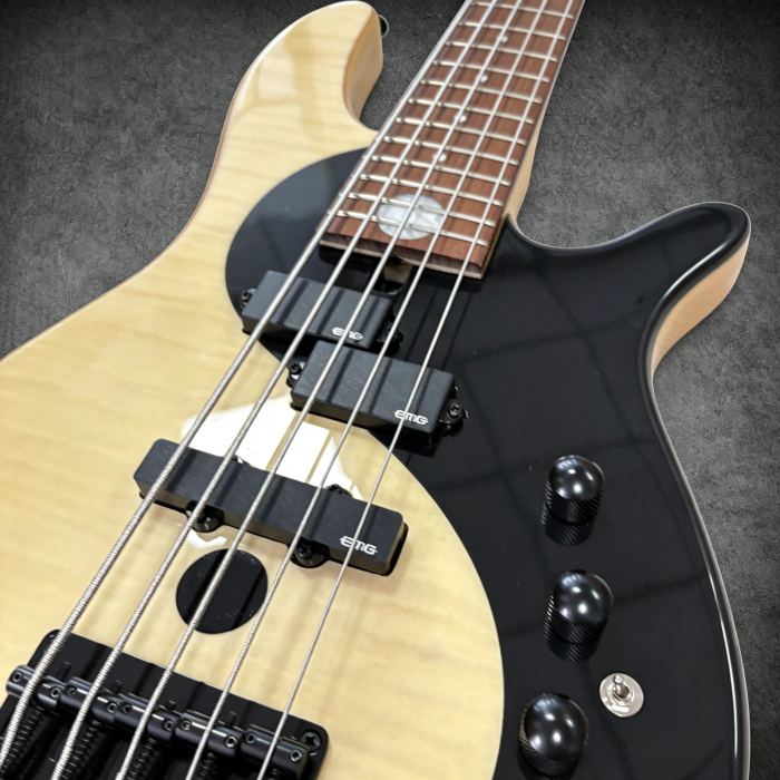 US Warehouse 5-string Electric Bass Guitar Rosewood Fingerboard Black Hardware