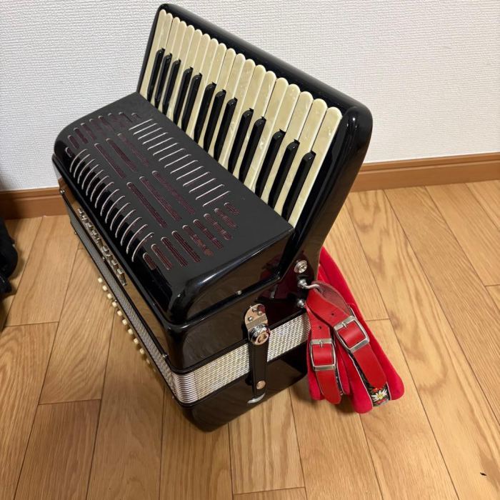 Excelsior 536 Piano Accordion Rare Professional 120-Bass with Bag Vintage