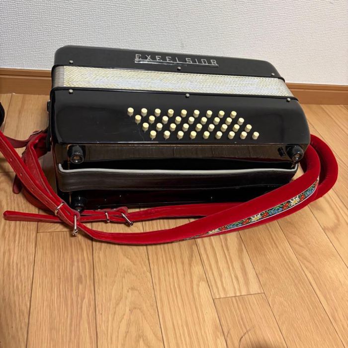 Excelsior 536 Piano Accordion Rare Professional 120-Bass with Bag Vintage