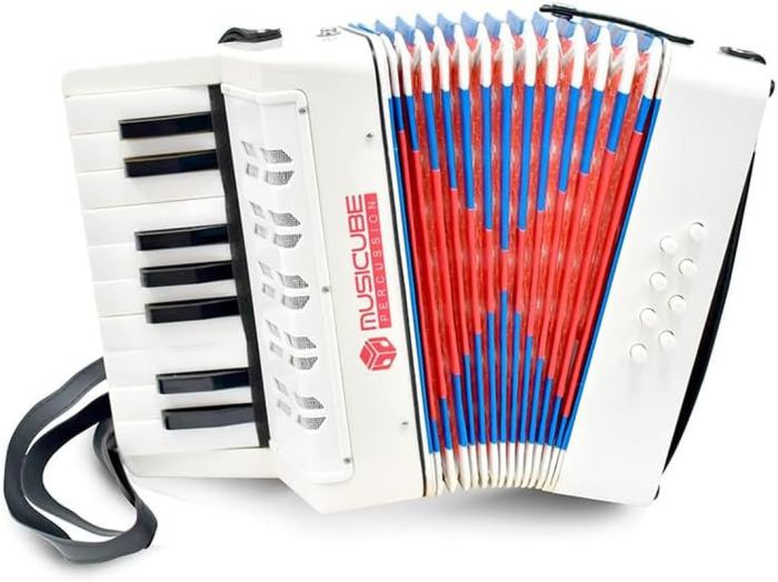 Accordion Instrument for Kids Professional 17 Keys 8 Bass Accordion with Straps