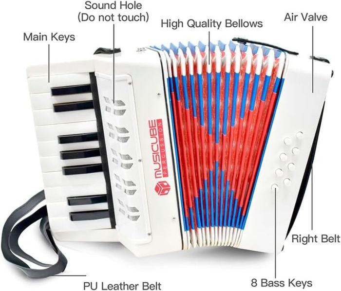 Accordion Instrument for Kids Professional 17 Keys 8 Bass Accordion with Straps