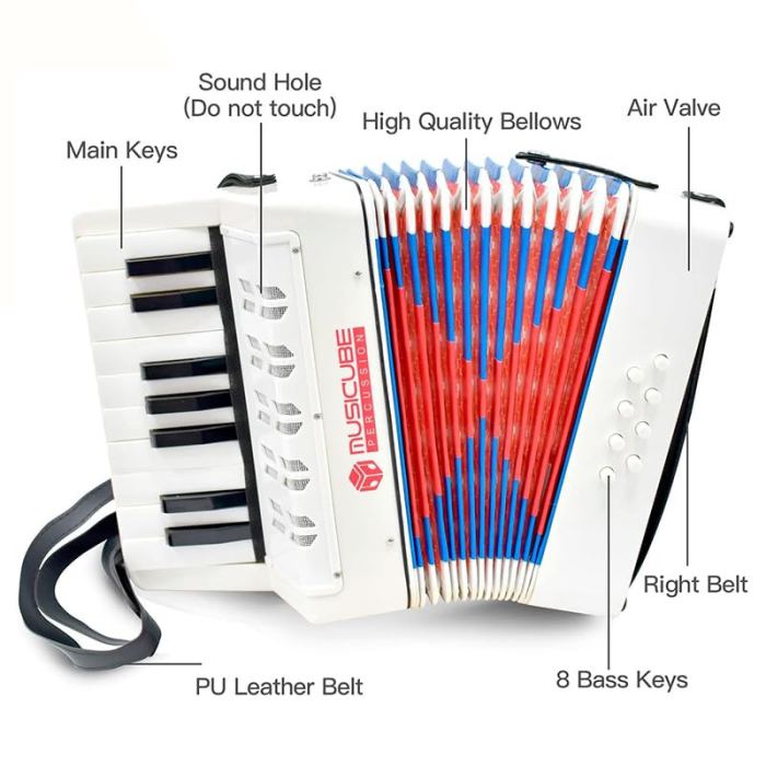 Accordion Instrument Professional 17 Keys 8 Bass Accordion with Straps